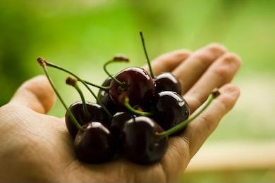 گیلاس (انواع مختلف، Rainier)