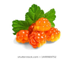 توت فرنگی گوه ای
