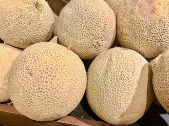 طالبی